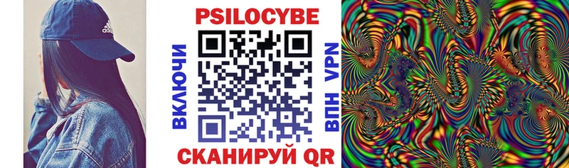 Галлюциногенные грибы Cubensis где купить Георгиевск
