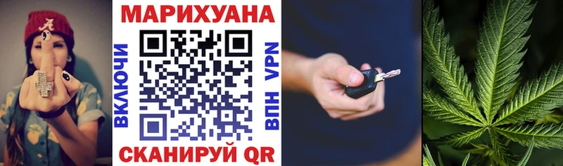 Канабис гибрид  Георгиевск 